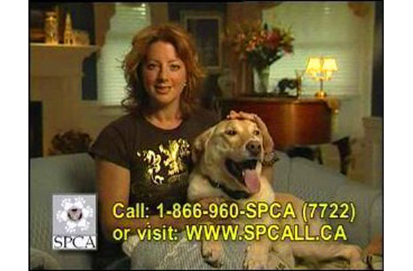 A masterful fundraising video