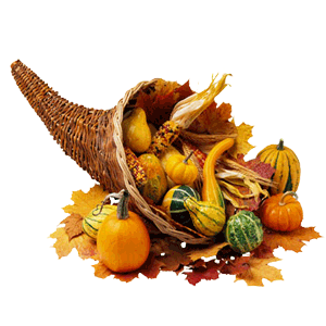 November’s Nonprofit Blog Carnival | How are you giving Thanks?