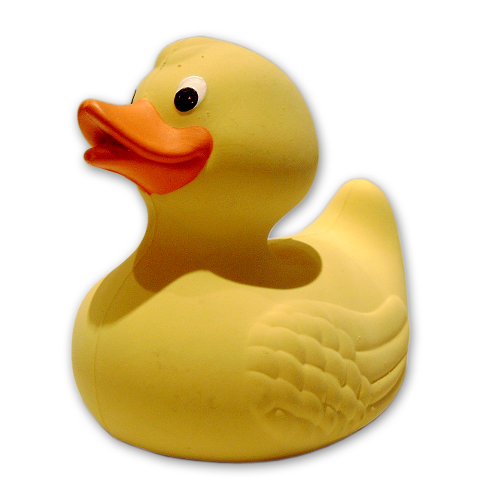 Are your grantwriting ducks in a row?