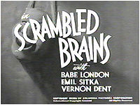 Scrambled Brains – Time for Back-to-Basics
